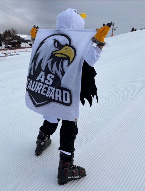 Consulter cet article